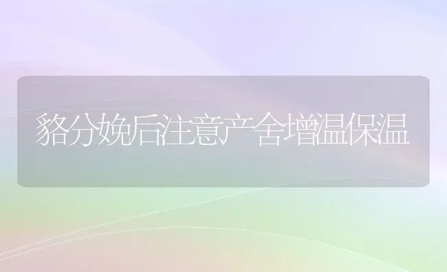 貉分娩后注意产舍增温保温 | 养殖知识