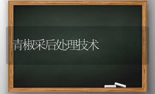 青椒采后处理技术 | 养殖知识