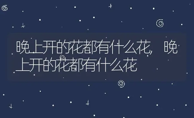 晚上开的花都有什么花,晚上开的花都有什么花 | 养殖科普