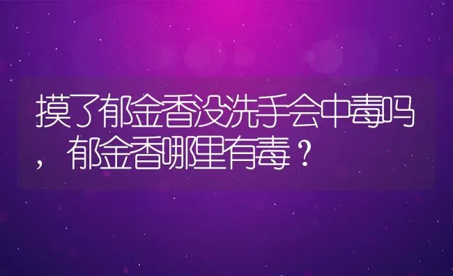 摸了郁金香没洗手会中毒吗,郁金香哪里有毒？ | 养殖学堂