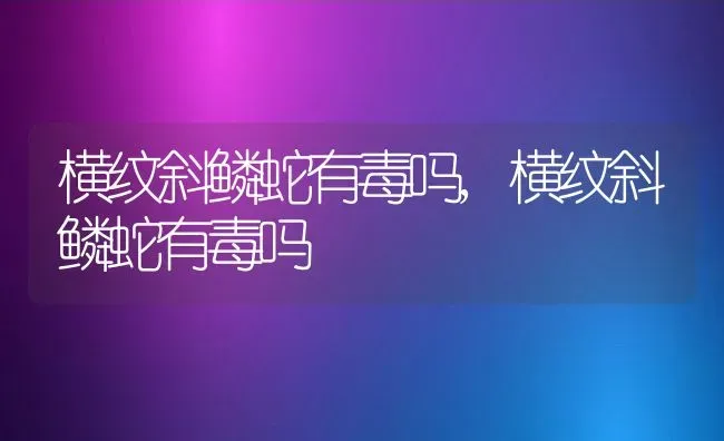 横纹斜鳞蛇有毒吗,横纹斜鳞蛇有毒吗 | 养殖科普