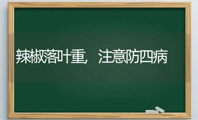 辣椒落叶重,注意防四病 | 养殖技术大全