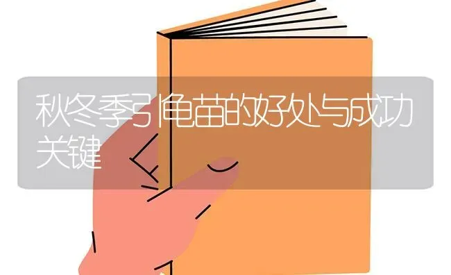 秋冬季引龟苗的好处与成功关键 | 养殖技术大全