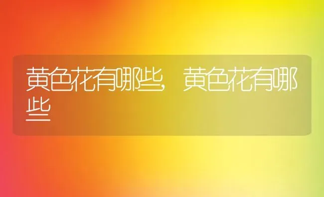 黄色花有哪些,黄色花有哪些 | 养殖科普