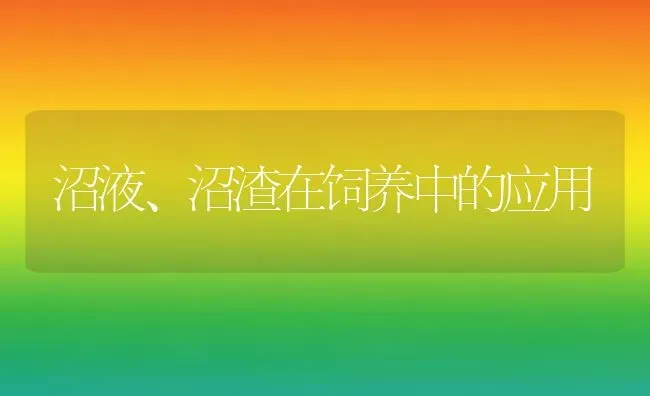 沼液、沼渣在饲养中的应用 | 养殖知识