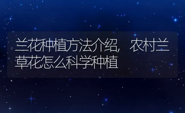 兰花种植方法介绍,农村兰草花怎么科学种植 | 养殖学堂