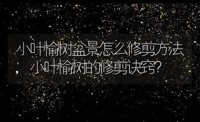 小叶榆树盆景怎么修剪方法,小叶榆树的修剪诀窍？ | 养殖学堂