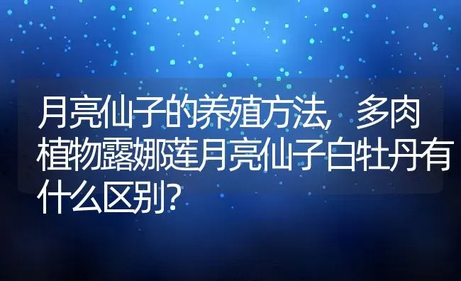 月亮仙子的养殖方法,多肉植物露娜莲月亮仙子白牡丹有什么区别？ | 养殖科普