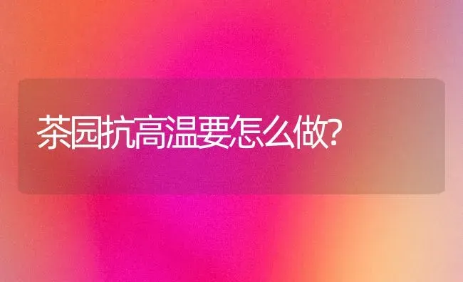 茶园抗高温要怎么做? | 养殖技术大全