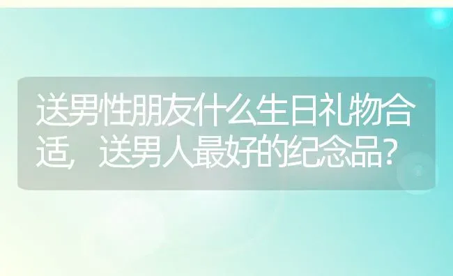 送男性朋友什么生日礼物合适,送男人最好的纪念品？ | 养殖学堂