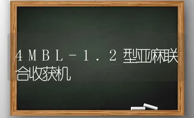 4MBL-1.2型亚麻联合收获机 | 养殖技术大全