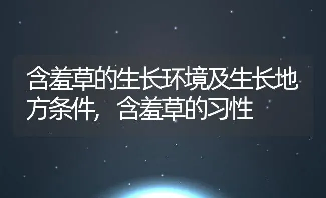 含羞草的生长环境及生长地方条件,含羞草的习性 | 养殖学堂