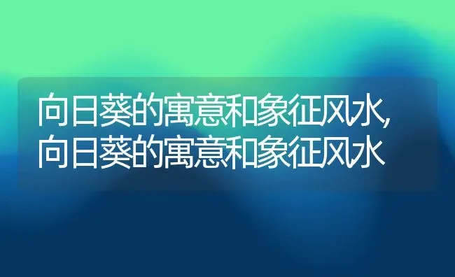 向日葵的寓意和象征风水,向日葵的寓意和象征风水 | 养殖科普