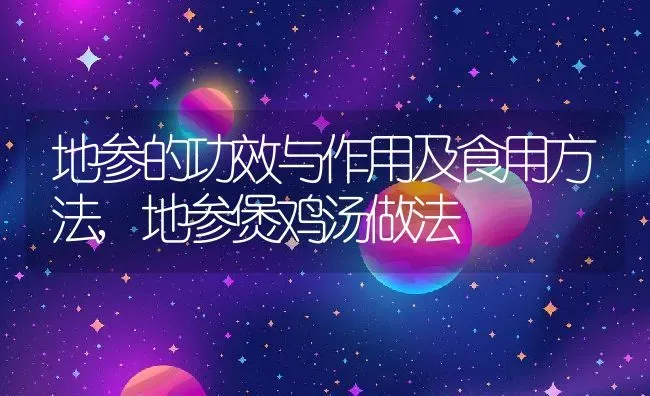 地参的功效与作用及食用方法,地参煲鸡汤做法 | 养殖学堂