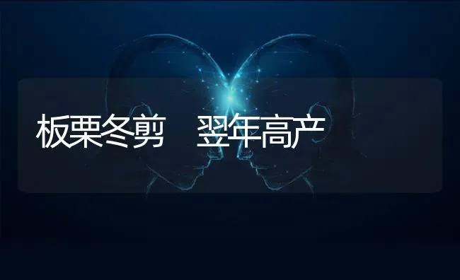 板栗冬剪 翌年高产 | 养殖知识