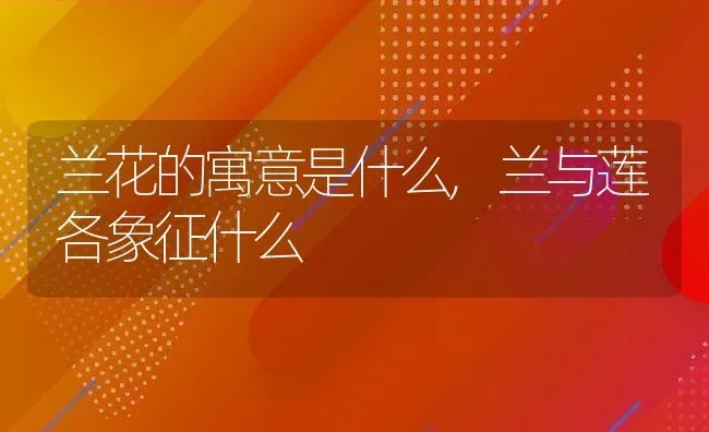 兰花的寓意是什么,兰与莲各象征什么 | 养殖学堂