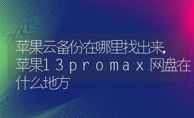 苹果云备份在哪里找出来,苹果13promax网盘在什么地方 | 养殖学堂