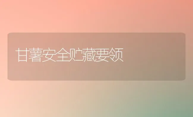 甘薯安全贮藏要领 | 养殖技术大全