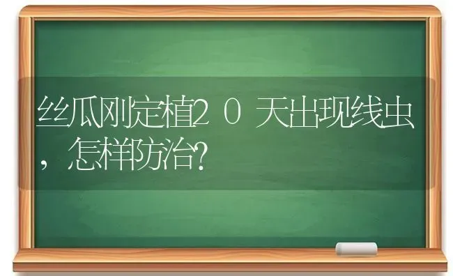 丝瓜刚定植20天出现线虫,怎样防治? | 养殖技术大全