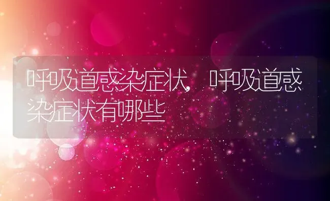 呼吸道感染症状,呼吸道感染症状有哪些 | 养殖资料