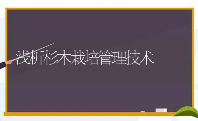 浅析杉木栽培管理技术 | 养殖知识