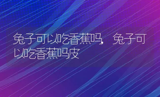 兔子可以吃香蕉吗,兔子可以吃香蕉吗皮 | 养殖科普