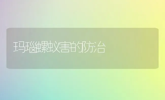 玛瑙螺蚁害的防治 | 养殖技术大全