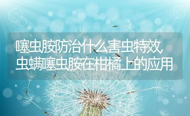 噻虫胺防治什么害虫特效,虫螨噻虫胺在柑橘上的应用 | 养殖学堂