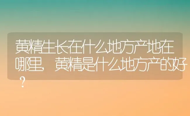 黄精生长在什么地方产地在哪里,黄精是什么地方产的好？ | 养殖科普