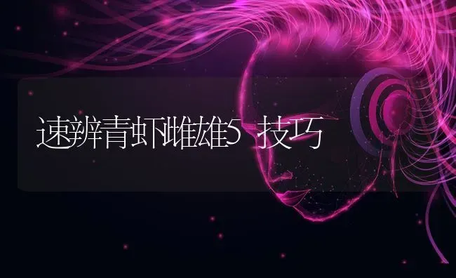 速辨青虾雌雄5技巧 | 养殖知识