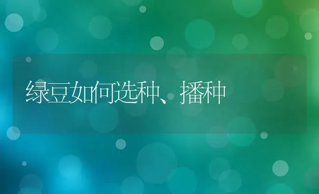 绿豆如何选种、播种 | 养殖知识