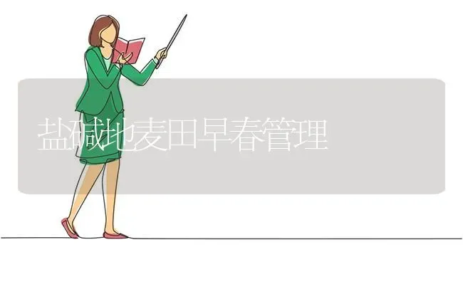 盐碱地麦田早春管理 | 养殖知识