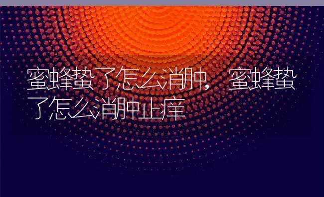 蜜蜂蛰了怎么消肿,蜜蜂蛰了怎么消肿止痒 | 养殖科普