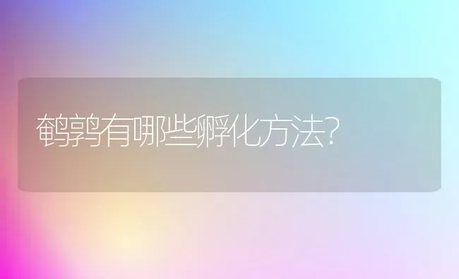 鹌鹑有哪些孵化方法? | 养殖知识