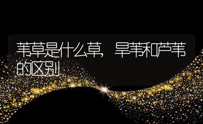 苇草是什么草,旱苇和芦苇的区别 | 养殖学堂