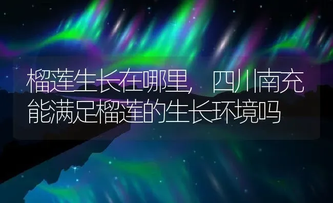 榴莲生长在哪里,四川南充能满足榴莲的生长环境吗 | 养殖学堂