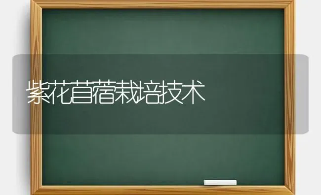 紫花苜蓿栽培技术 | 养殖知识