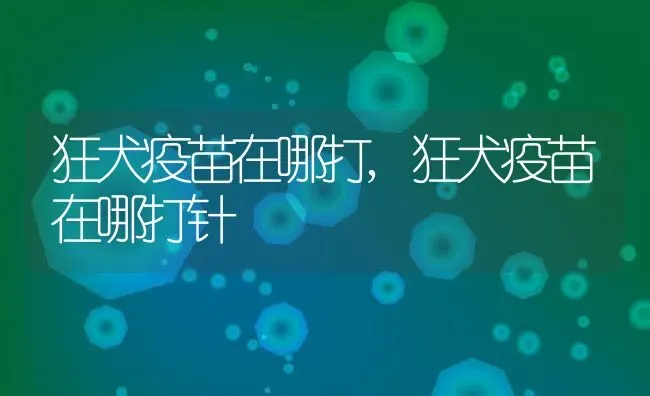 狂犬疫苗在哪打,狂犬疫苗在哪打针 | 养殖科普