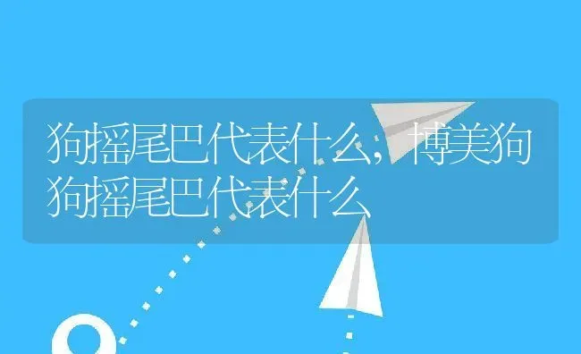 狗摇尾巴代表什么,博美狗狗摇尾巴代表什么 | 养殖科普