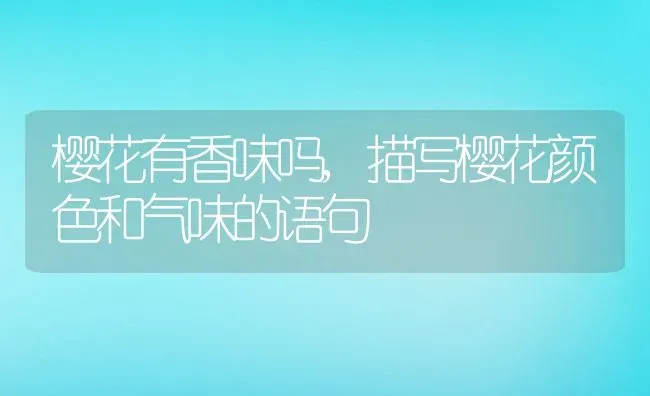 樱花有香味吗,描写樱花颜色和气味的语句 | 养殖学堂