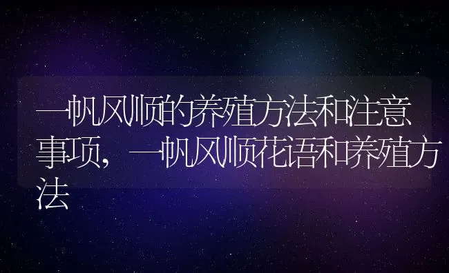 一帆风顺的养殖方法和注意事项,一帆风顺花语和养殖方法 | 养殖学堂