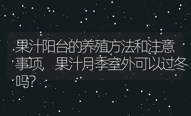 果汁阳台的养殖方法和注意事项,果汁月季室外可以过冬吗？ | 养殖科普