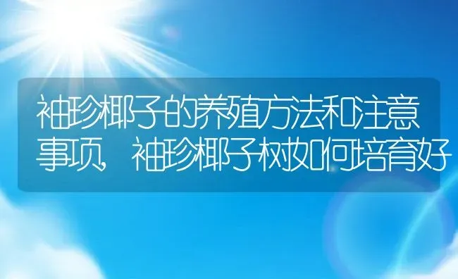 袖珍椰子的养殖方法和注意事项,袖珍椰子树如何培育好 | 养殖学堂