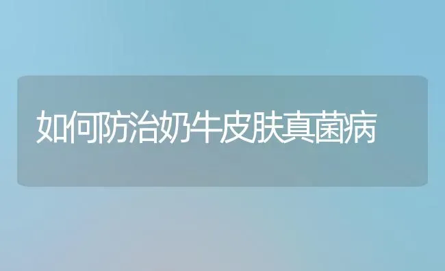 如何防治奶牛皮肤真菌病 | 养殖知识