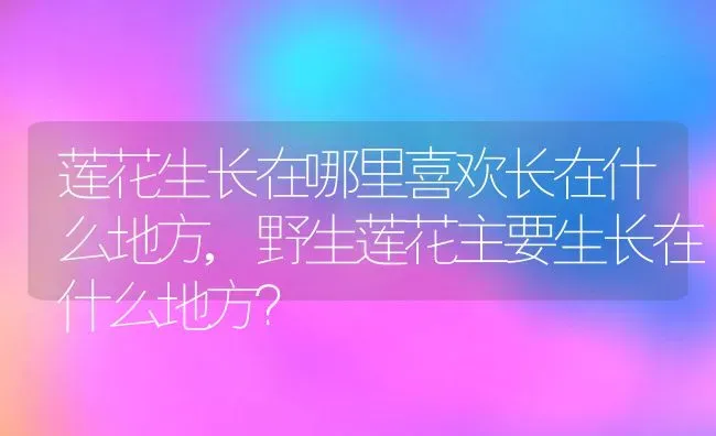 莲花生长在哪里喜欢长在什么地方,野生莲花主要生长在什么地方？ | 养殖学堂