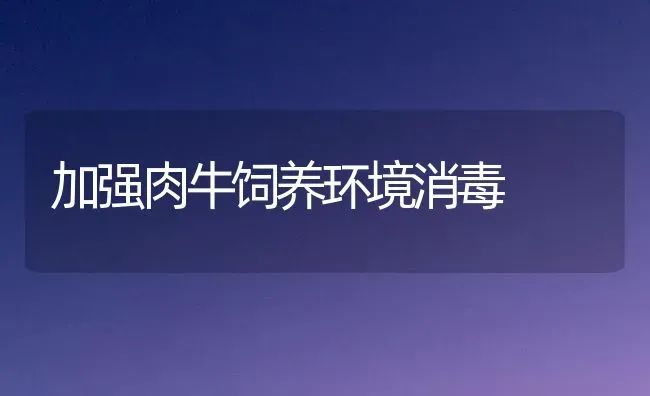 加强肉牛饲养环境消毒 | 养殖技术大全