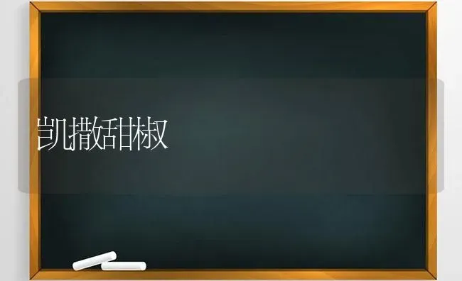 凯撒甜椒 | 养殖技术大全