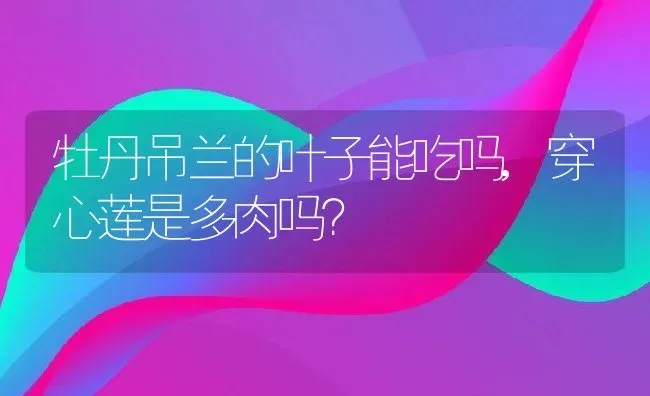 牡丹吊兰的叶子能吃吗,穿心莲是多肉吗？ | 养殖科普