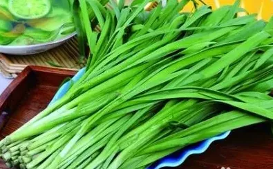 如何种植韭菜,种韭菜的方法？