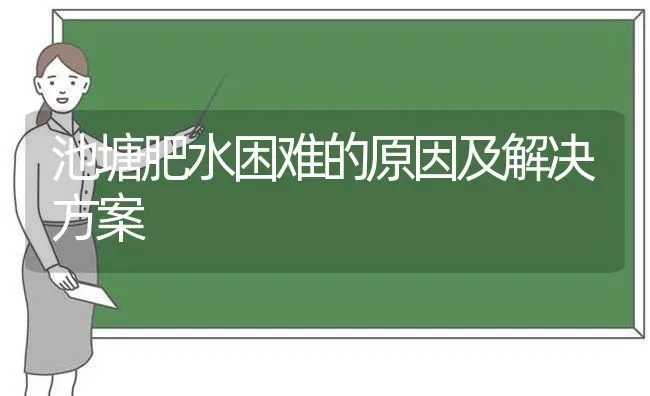 池塘肥水困难的原因及解决方案 | 养殖知识